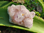 Natural Sunburst Spirit Amethyst Clusters x 6 From Boekenhouthoek, South Africa - Toprock Gemstones and Minerals 