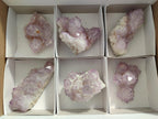 Natural Sunburst Spirit Amethyst Clusters x 6 From Boekenhouthoek, South Africa - Toprock Gemstones and Minerals 