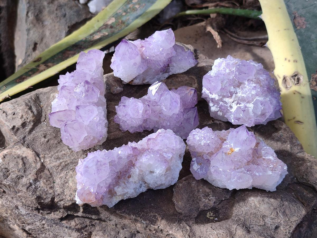 Natural Sunburst Spirit Amethyst Clusters x 6 From Boekenhouthoek, South Africa - Toprock Gemstones and Minerals 