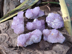 Natural Sunburst Spirit Amethyst Clusters x 6 From Boekenhouthoek, South Africa - Toprock Gemstones and Minerals 
