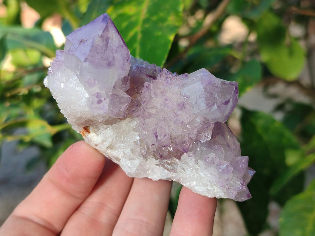 Natural Sunburst Spirit Amethyst Clusters x 6 From Boekenhouthoek, South Africa - Toprock Gemstones and Minerals 