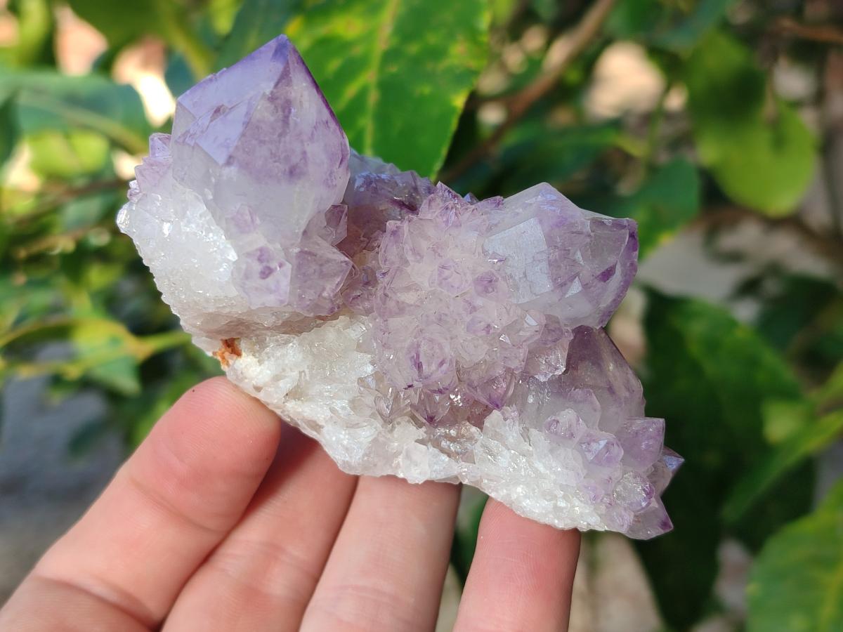 Natural Sunburst Spirit Amethyst Clusters x 6 From Boekenhouthoek, South Africa - Toprock Gemstones and Minerals 