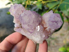 Natural Sunburst Spirit Amethyst Clusters x 6 From Boekenhouthoek, South Africa - Toprock Gemstones and Minerals 