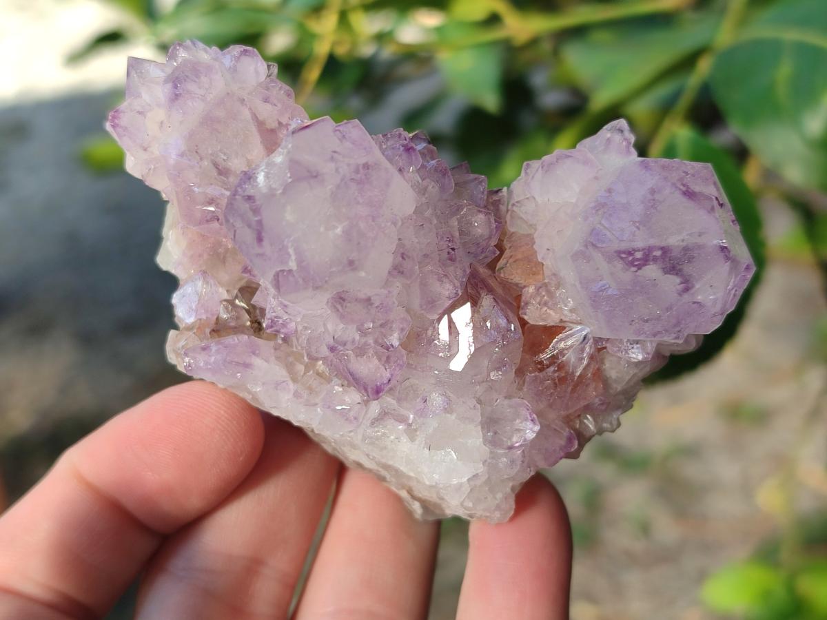 Natural Sunburst Spirit Amethyst Clusters x 6 From Boekenhouthoek, South Africa - Toprock Gemstones and Minerals 