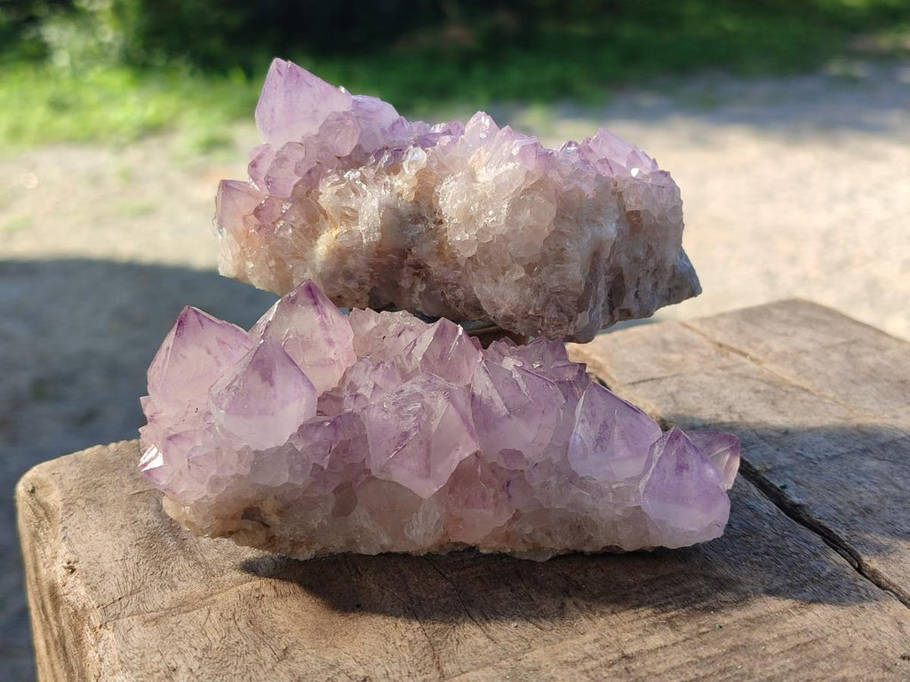 Natural Sunburst Spirit Amethyst Clusters x 6 From Boekenhouthoek, South Africa - Toprock Gemstones and Minerals 