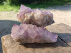 Natural Sunburst Spirit Amethyst Clusters x 6 From Boekenhouthoek, South Africa - Toprock Gemstones and Minerals 