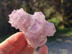 Natural Sunburst Spirit Amethyst Clusters x 6 From Boekenhouthoek, South Africa - Toprock Gemstones and Minerals 