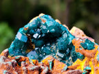 Natural Dioptase on Red Dolomite Specimens x 2 From Likasi, Congo - Toprock Gemstones and Minerals 