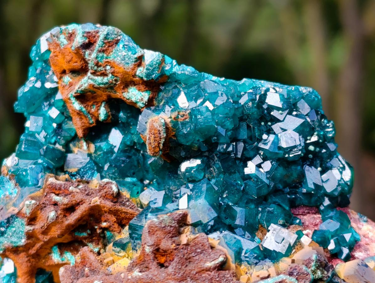 Natural Dioptase on Red Dolomite Specimens x 2 From Likasi, Congo - Toprock Gemstones and Minerals 