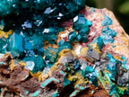 Natural Dioptase on Red Dolomite Specimens x 2 From Likasi, Congo - Toprock Gemstones and Minerals 