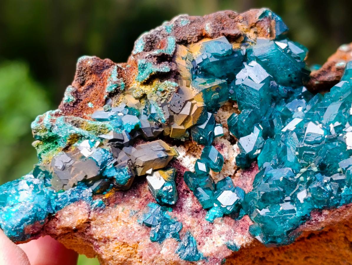 Natural Dioptase on Red Dolomite Specimens x 2 From Likasi, Congo - Toprock Gemstones and Minerals 