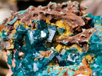 Natural Dioptase on Red Dolomite Specimens x 2 From Likasi, Congo - Toprock Gemstones and Minerals 