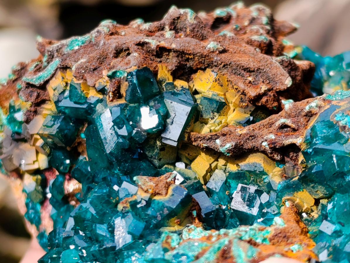 Natural Dioptase on Red Dolomite Specimens x 2 From Likasi, Congo - Toprock Gemstones and Minerals 