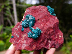 Natural Dioptase on Red Dolomite Specimens x 2 From Likasi, Congo - Toprock Gemstones and Minerals 