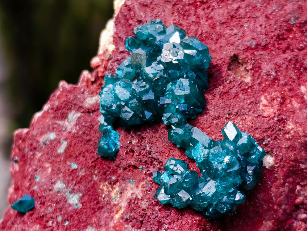 Natural Dioptase on Red Dolomite Specimens x 2 From Likasi, Congo - Toprock Gemstones and Minerals 