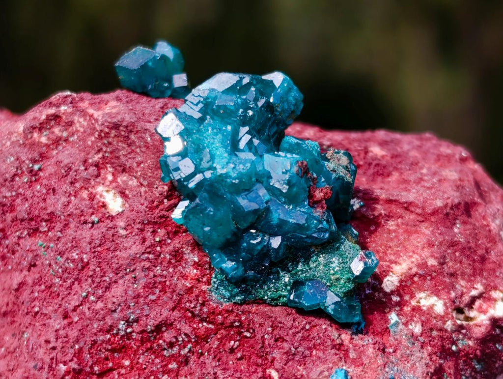 Natural Dioptase on Red Dolomite Specimens x 2 From Likasi, Congo - Toprock Gemstones and Minerals 