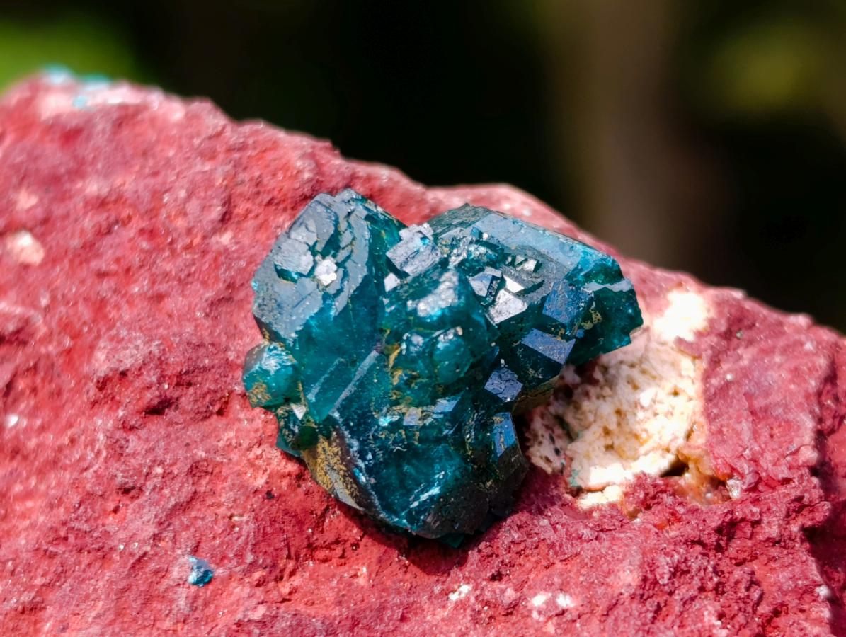 Natural Dioptase on Red Dolomite Specimens x 2 From Likasi, Congo - Toprock Gemstones and Minerals 