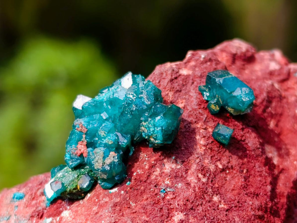 Natural Dioptase on Red Dolomite Specimens x 2 From Likasi, Congo - Toprock Gemstones and Minerals 