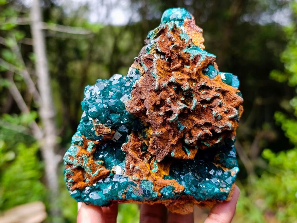 Natural Dioptase on Red Dolomite Specimens x 2 From Likasi, Congo - Toprock Gemstones and Minerals 