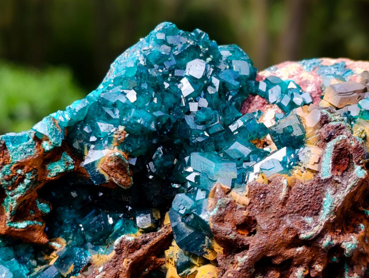 Natural Dioptase on Red Dolomite Specimens x 2 From Likasi, Congo - Toprock Gemstones and Minerals 