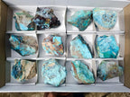 Natural Rough Shattuckite Specimens x 12 From Kaokoveld, Namibia - Toprock Gemstones and Minerals 