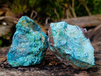 Natural Rough Shattuckite Specimens x 12 From Kaokoveld, Namibia - Toprock Gemstones and Minerals 