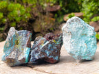 Natural Rough Shattuckite Specimens x 12 From Kaokoveld, Namibia - Toprock Gemstones and Minerals 