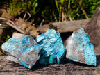 Natural Rough Shattuckite Specimens x 12 From Kaokoveld, Namibia - Toprock Gemstones and Minerals 