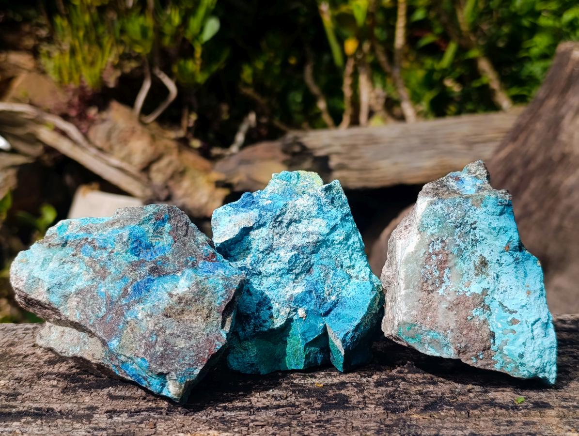 Natural Rough Shattuckite Specimens x 12 From Kaokoveld, Namibia - Toprock Gemstones and Minerals 