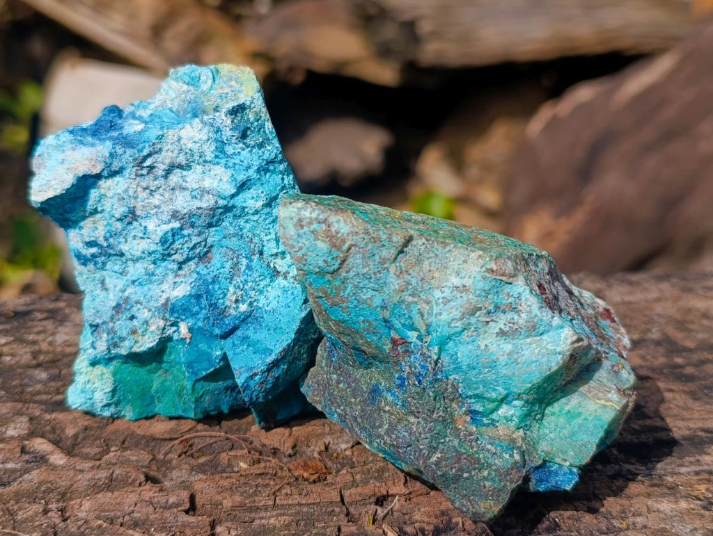 Natural Rough Shattuckite Specimens x 12 From Kaokoveld, Namibia - Toprock Gemstones and Minerals 
