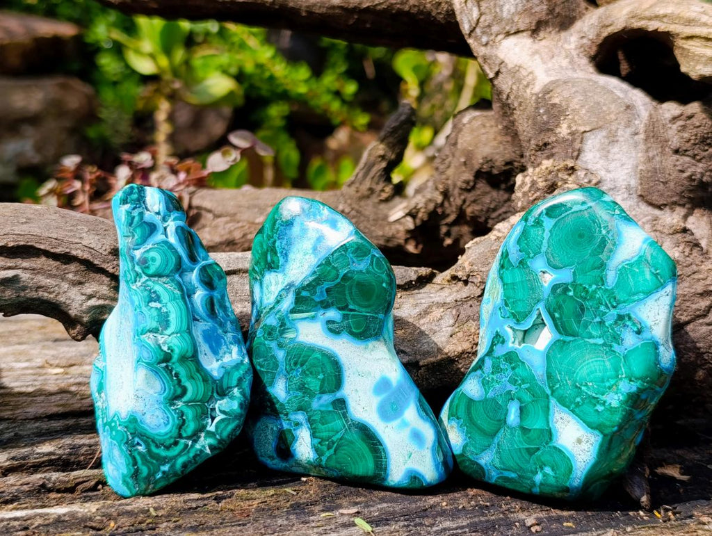 Polished Malacolla Free Forms x 12 From Kulukuluku, Congo - Toprock Gemstones and Minerals 