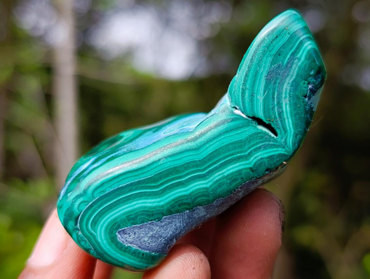 Polished Malacolla Free Forms x 12 From Kulukuluku, Congo - Toprock Gemstones and Minerals 