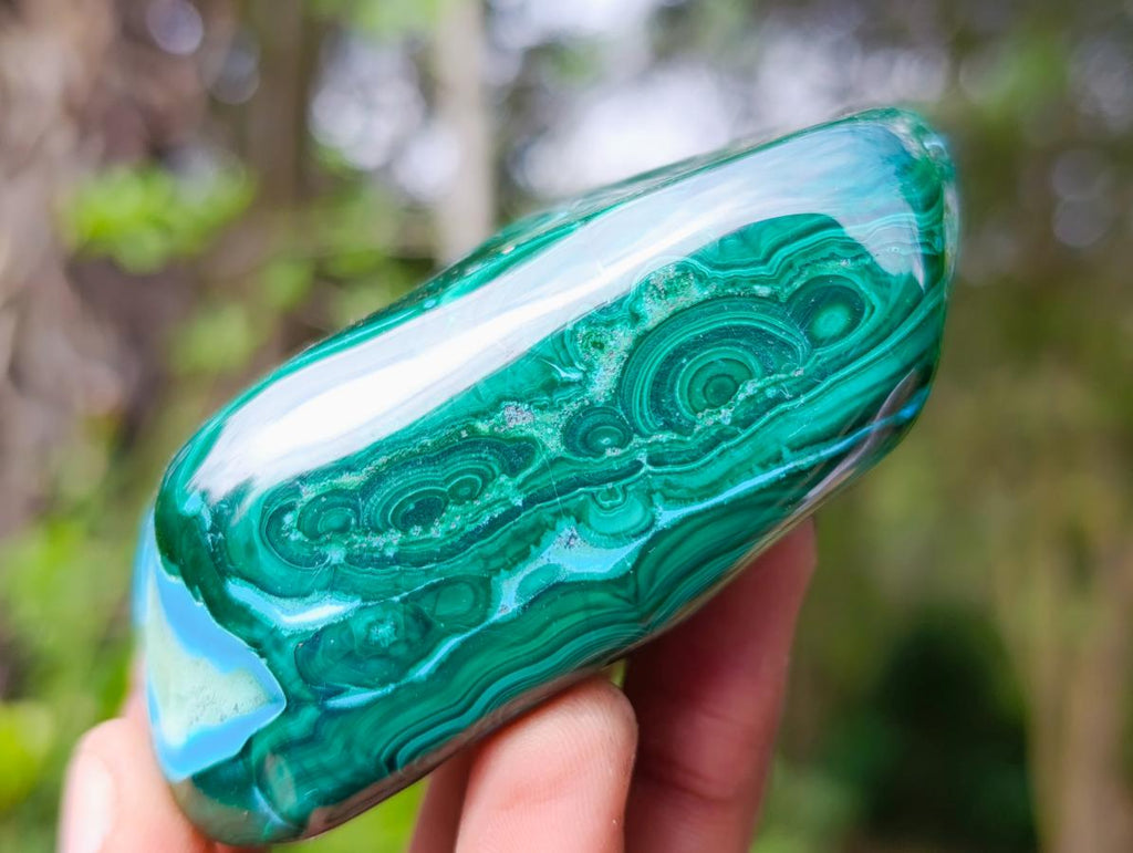 Polished Malacolla Free Forms x 12 From Kulukuluku, Congo - Toprock Gemstones and Minerals 