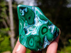 Polished Malacolla Free Forms x 12 From Kulukuluku, Congo - Toprock Gemstones and Minerals 