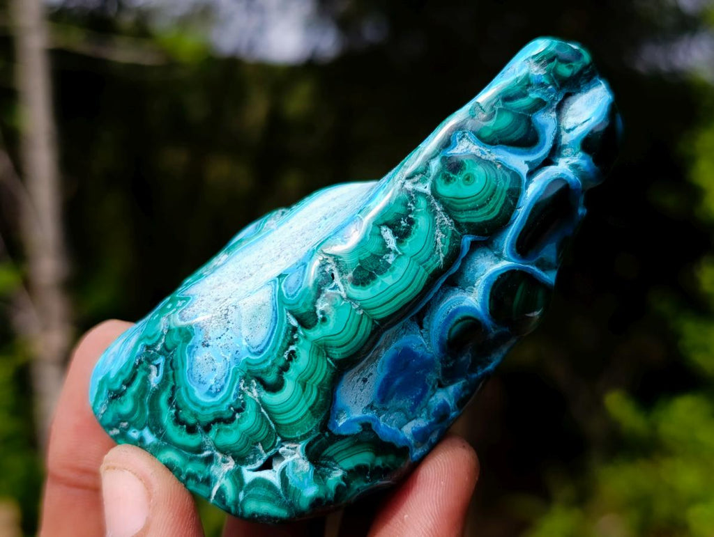 Polished Malacolla Free Forms x 12 From Kulukuluku, Congo - Toprock Gemstones and Minerals 