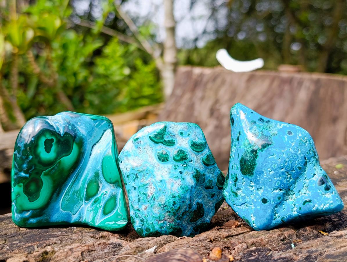 Polished Malacolla Free Forms x 12 From Kulukuluku, Congo - Toprock Gemstones and Minerals 