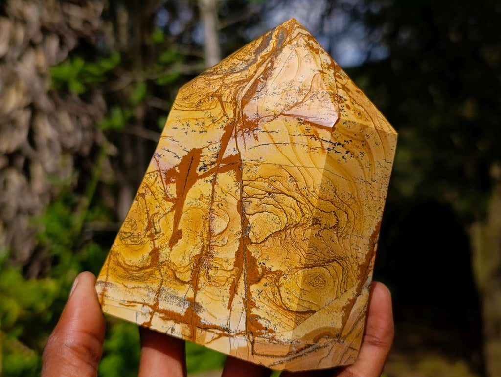 Polished Picture Stone Jasper Display Crystals x 2 From Ais-Ais, Namibia - Toprock Gemstones and Minerals 