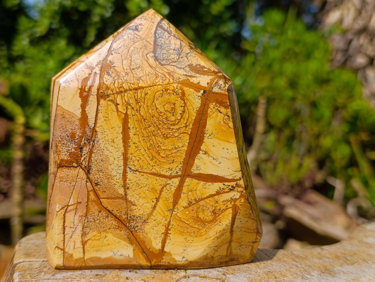 Polished Picture Stone Jasper Display Crystals x 2 From Ais-Ais, Namibia - Toprock Gemstones and Minerals 