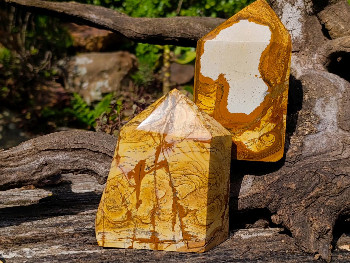Polished Picture Stone Jasper Display Crystals x 2 From Ais-Ais, Namibia - Toprock Gemstones and Minerals 