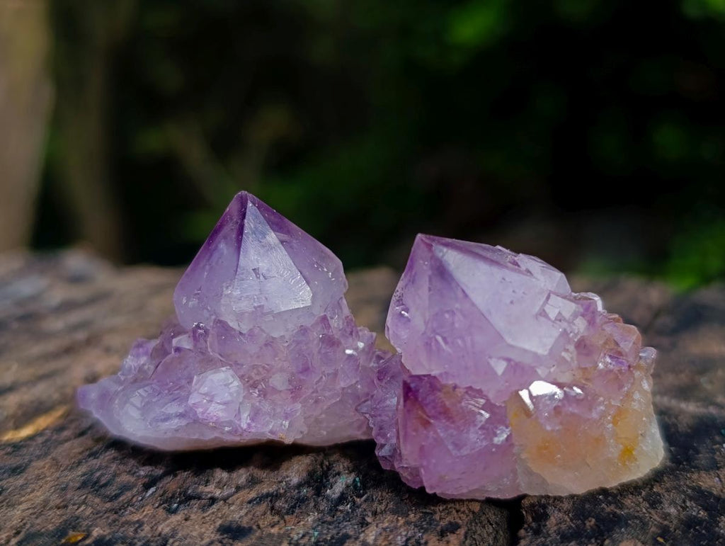 Natural Mix of Small Spirit Amethyst Crystals and Clusters x 35 From Boekenhouthoek, South Africa - Toprock Gemstones and Minerals 