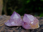 Natural Mix of Small Spirit Amethyst Crystals and Clusters x 35 From Boekenhouthoek, South Africa - Toprock Gemstones and Minerals 
