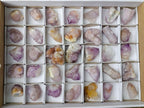 Natural Mix of Small Spirit Amethyst Crystals and Clusters x 35 From Boekenhouthoek, South Africa - Toprock Gemstones and Minerals 