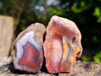 Polished One Side Red Shashe River Agate Nodules x 12 From Shashe River, Zimbabwe - Toprock Gemstones and Minerals 
