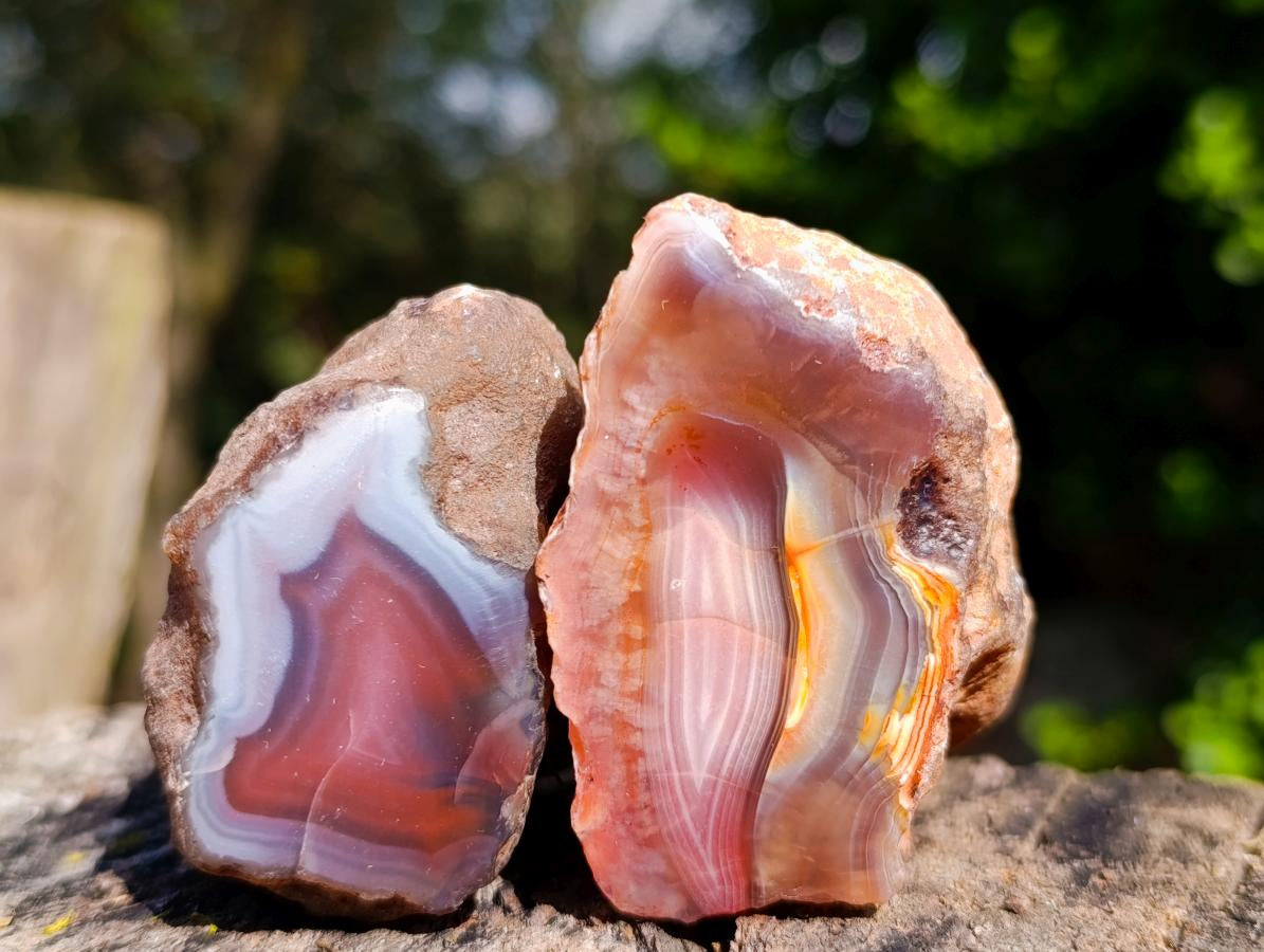 Polished One Side Red Shashe River Agate Nodules x 12 From Shashe River, Zimbabwe - Toprock Gemstones and Minerals 