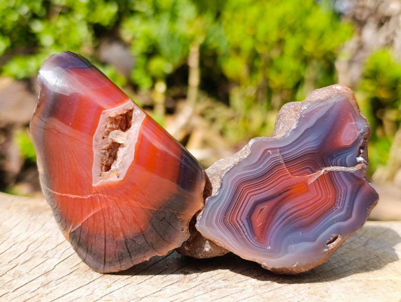 Polished One Side Red Shashe River Agate Nodules x 12 From Shashe River, Zimbabwe - Toprock Gemstones and Minerals 
