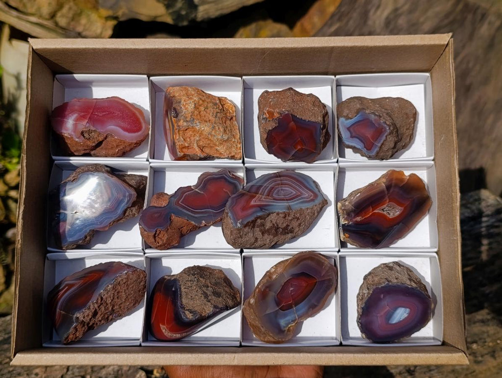 Polished One Side Red Shashe River Agate Nodules x 12 From Shashe River, Zimbabwe - Toprock Gemstones and Minerals 