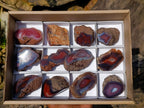 Polished One Side Red Shashe River Agate Nodules x 12 From Shashe River, Zimbabwe - Toprock Gemstones and Minerals 