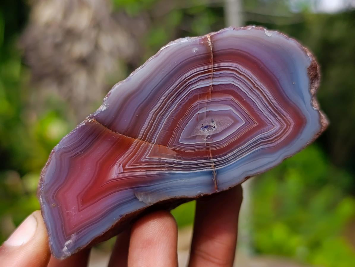 Polished One Side Red Shashe River Agate Nodules x 12 From Shashe River, Zimbabwe - Toprock Gemstones and Minerals 