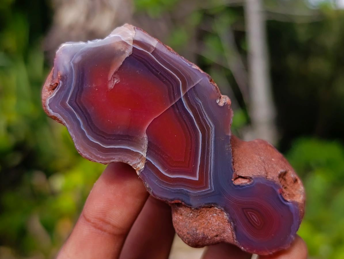 Polished One Side Red Shashe River Agate Nodules x 12 From Shashe River, Zimbabwe - Toprock Gemstones and Minerals 