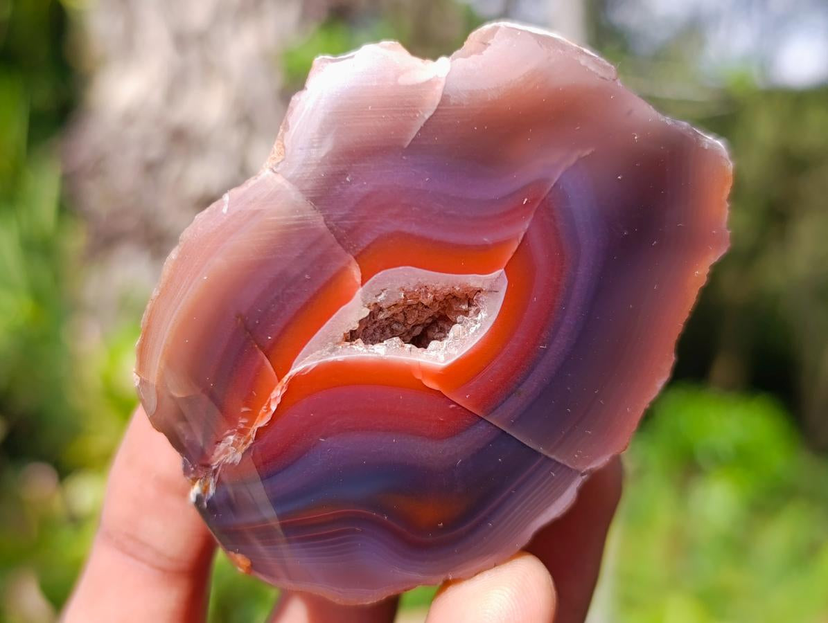 Polished One Side Red Shashe River Agate Nodules x 12 From Shashe River, Zimbabwe - Toprock Gemstones and Minerals 